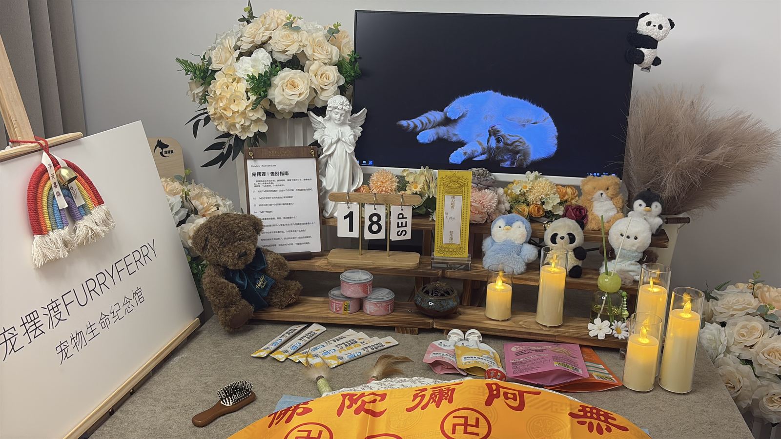宠物告别纪念仪式